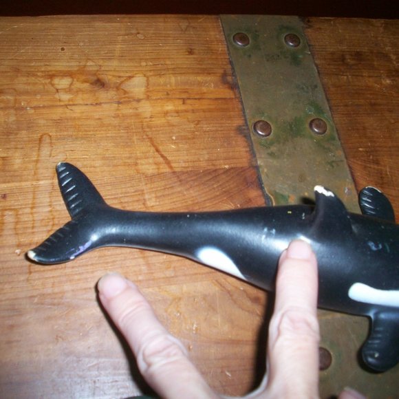 Killer Whale Whale Shark TOYI Black Orca Toy Figure Fish Ocean Sea Marine Life 8 - Picture 6 of 8